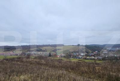 Teren intravilan 4756 mp de vanzare in Livezeni - 2