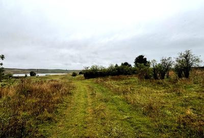 Vanzare 10.000 mp teren Liteni Suceava- la strada -potrivit proiect fonduri - 10