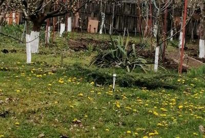 Casă cu 3 camere cu Teren 937 Mp în Vlădeni - 5