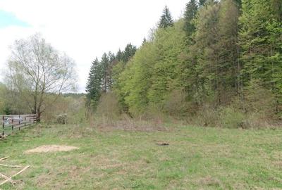 Spațiu comercial, în Sânpetru - 4