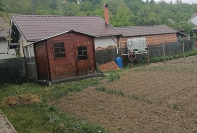 Casă cu Teren 865 Mp în Est - 4