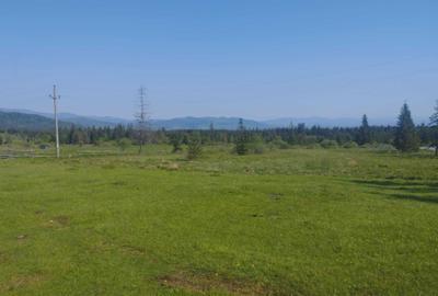 Teren de 1000 mp, în Beliș - 1