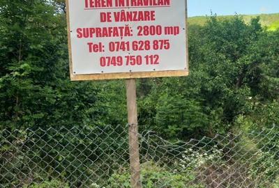 Teren de 2800 mp, în Micești - 7