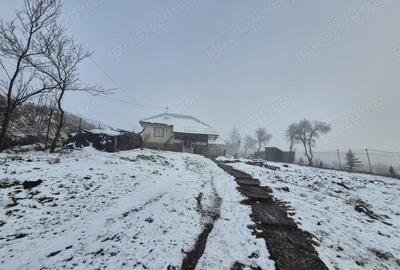 Casă cu 2 camere cu Teren 5135 Mp în Central - 8