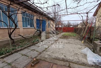 Casa demolabila cu teren 1980mp, toate utilitatile, front 19m, Sacalaz - 2