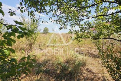 Casă cu 4 camere cu Teren 3778 Mp în 9 Mai - 10