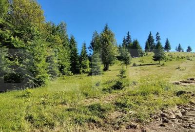 Teren de 700 mp, în Central - 6