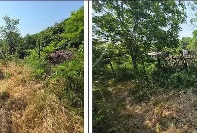 Teren Duda Epureni, ID: R2609594 - 7