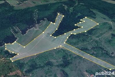 Teren de 480000 mp, în Prunișor - 3