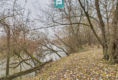 Teren agricol extravilan de 5000 mp, în Periam - 19