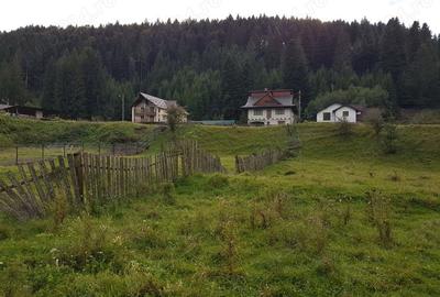 Teren de 1360 mp, în Voroneț - 2
