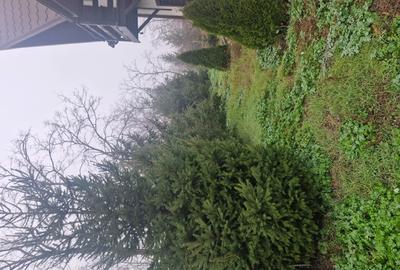 Casă cu 5 camere în Scorțaru Vechi - 4