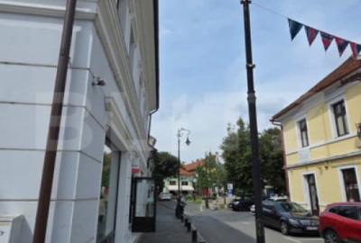 Apartament cu 3 camere decomandat în Central - 18