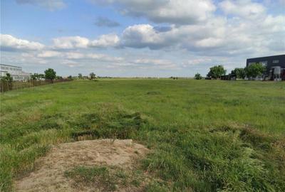 Teren de 8000 mp, în Măgurele - 2