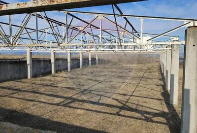 Teren de 8412 mp, în Blejoi - 4