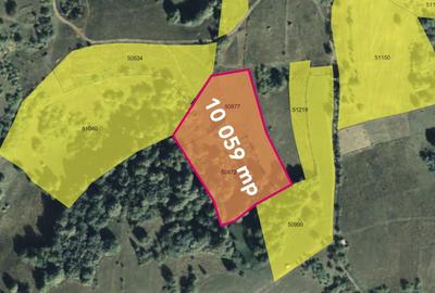 Teren extravilan de 10059 mp, în Roșia - 1