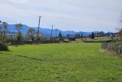 Teren de 5700 mp, în Dorna Candrenilor - 3