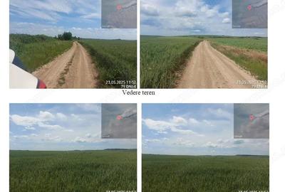 Teren extravilan 5000 mp Loc Plesoiu, Jud Olt - 3