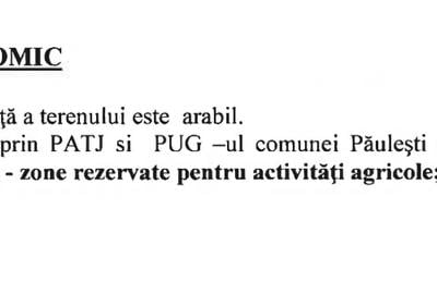 Teren agricol extravilan de 65000 mp, în Păulești - 6