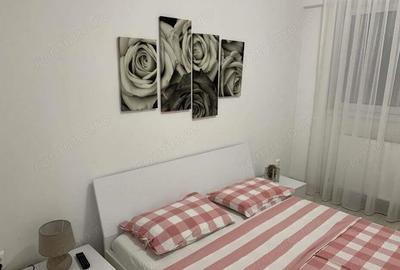 Apartament 2 camere zona Banu Manta - 5