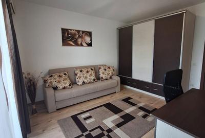 Garsonieră decomandată în Nufărul - 6