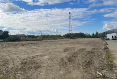 Teren intravilan, investie Hale Industriale, zona Est Teren intravilan, investie Hale Industriale, zona Est - 8