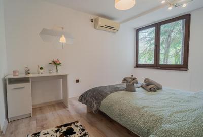 Calea victoriei  apartament 2 camere mobilat si utilat - 13