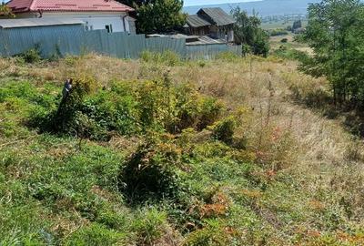 Teren Construcții intravilan de 4371 mp, în Copăcelu - 5