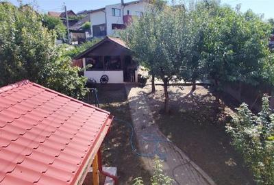 De vanzare vila compusa din 3 apartamente - 6