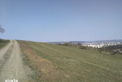 Teren de 15908 mp, în Libertății - 6