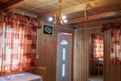 De vânzare două case de vacanță pe aceeași curte! - 8