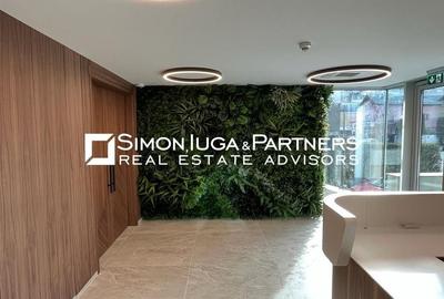 Birouri de inchiriat Brancusi Birouri de inchiriat Brancusi - 3