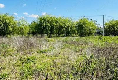 Teren de 798 mp, în Moșnița Nouă