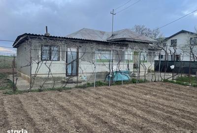 Casă cu 3 camere cu Teren 5239 Mp în Brazi - 4
