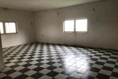 Casă cu 6 camere cu Teren 2877 Mp în Teremia Mare - 1