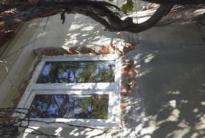 Vand casa batraneasca renovata, in Udupu Teleorman - 5