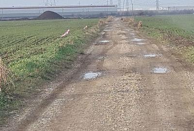 Teren în Domnești - 2