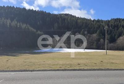 Teren de 19200 mp, în Brădet - 6