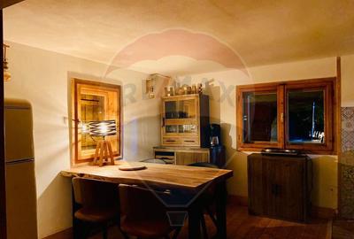 Casa de vacanta la munte de vanzare - 13