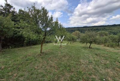 Teren agricol extravilan de 3223 mp, în Sibiel - 3