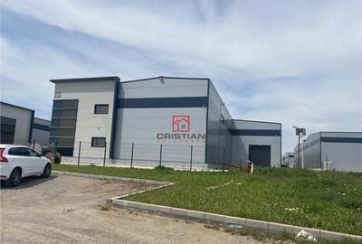 Depozit/hala/spatiu industrial Mogosoaia - Chitila, ILFOV - 16
