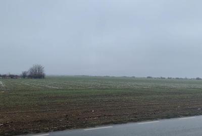 Teren Construcții extravilan de 4850 mp, în Central - 4