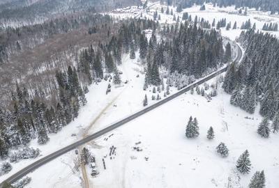 Teren Construcții intravilan de 10440 mp, în Poiana Brașov - 15