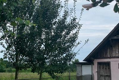 Casa + teren de 17.000 m2 de vanzare in sat Aciua, comuna Pomi, jud.Satu Mare - 1