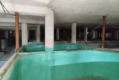 COMISION 0% Oportunitate de afacere/acvacultura in sistem RAS/3150 mp/Cisnadie - 3