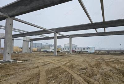 Vanzare hale/depozite/productie -industrial-Chitila - Rudeni, ILFOV - 17