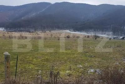 Teren de 5200 mp, în Central - 3