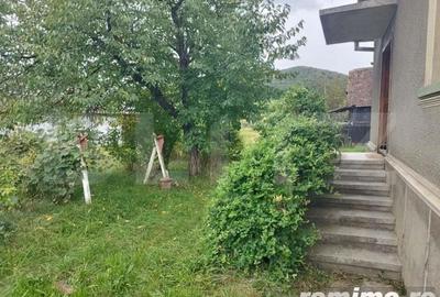 Casa pitoreasca in Viile Tecii cu o gradina de 26 de arii - 3