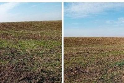 Teren extravilan Barlogu; ID: R2825534 - 10