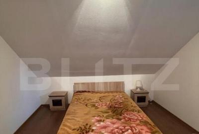 2 CASE, 300mp/700mp, teren 30 ari, zona strada Botizului - 18